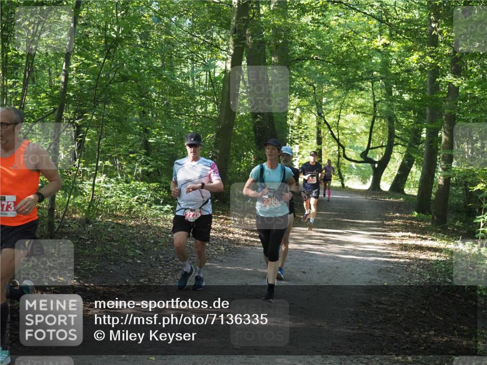 22.09.2024 - 32. Volkslauf durch das schöne Alstertal Miley Keyser http://msf.ph/oto/7136335 22.09.2024 10:40:48 Laufen 73, 2366 meine-sportfotos.de