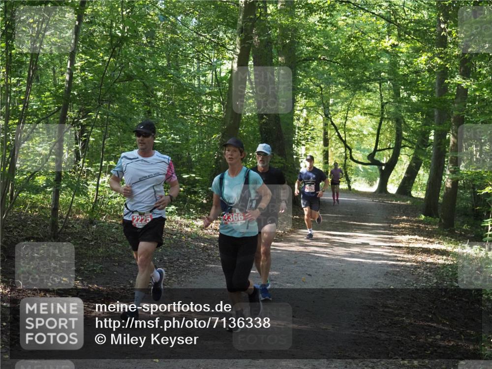 22.09.2024 - 32. Volkslauf durch das schöne Alstertal Miley Keyser http://msf.ph/oto/7136338 22.09.2024 10:40:48 Laufen 2225, 366 meine-sportfotos.de
