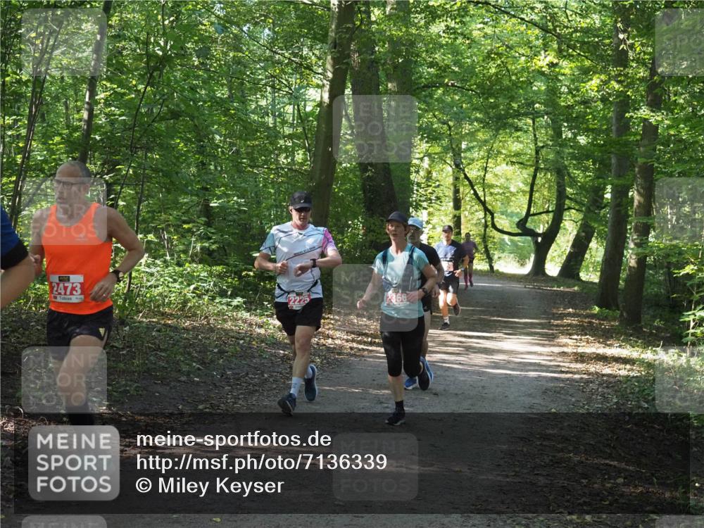 22.09.2024 - 32. Volkslauf durch das schöne Alstertal Miley Keyser http://msf.ph/oto/7136339 22.09.2024 10:40:48 Laufen 2473, 2366 meine-sportfotos.de