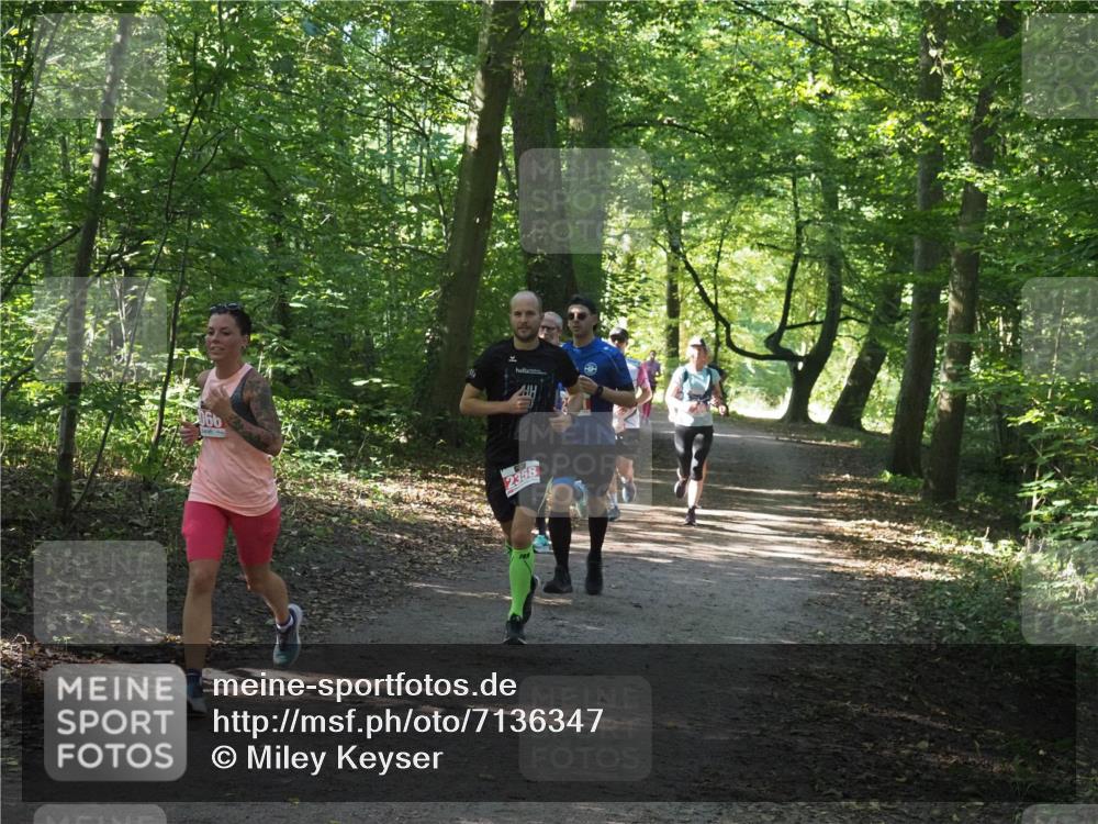 22.09.2024 - 32. Volkslauf durch das schöne Alstertal Miley Keyser http://msf.ph/oto/7136347 22.09.2024 10:40:45 Laufen 2358 meine-sportfotos.de
