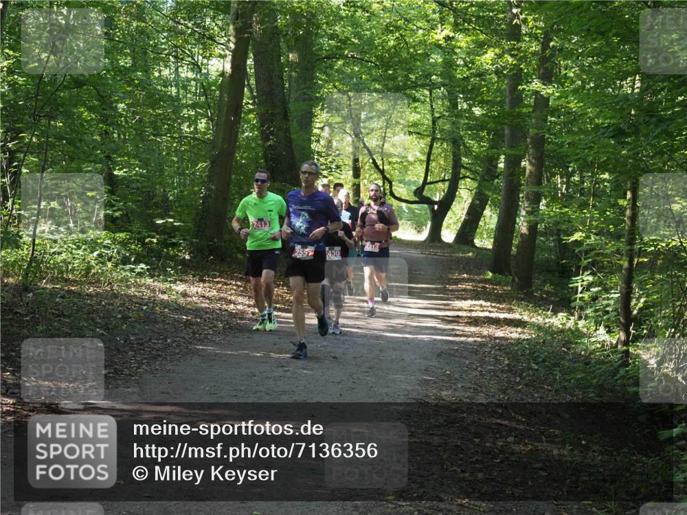 22.09.2024 - 32. Volkslauf durch das schöne Alstertal Miley Keyser http://msf.ph/oto/7136356 22.09.2024 10:40:36 Laufen 2413, 255, 430 meine-sportfotos.de