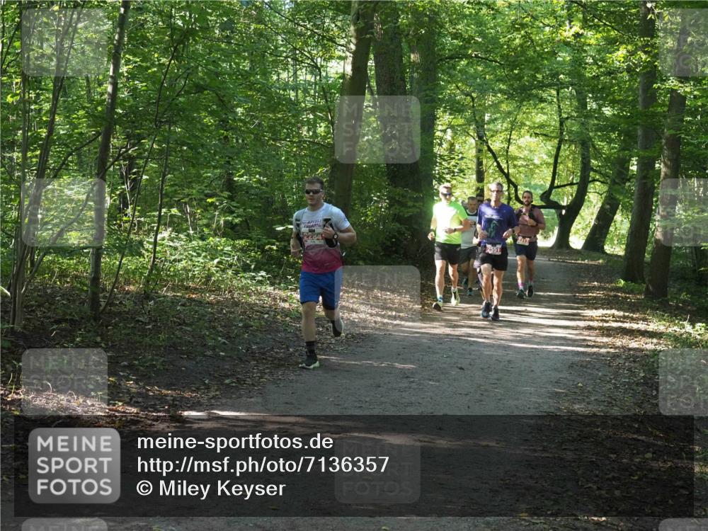 22.09.2024 - 32. Volkslauf durch das schöne Alstertal Miley Keyser http://msf.ph/oto/7136357 22.09.2024 10:40:34 Laufen 404 meine-sportfotos.de
