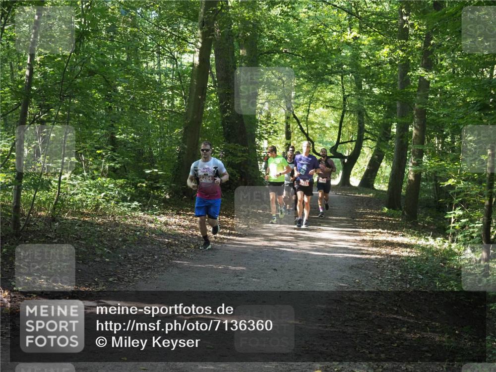22.09.2024 - 32. Volkslauf durch das schöne Alstertal Miley Keyser http://msf.ph/oto/7136360 22.09.2024 10:40:34 Laufen 464 meine-sportfotos.de