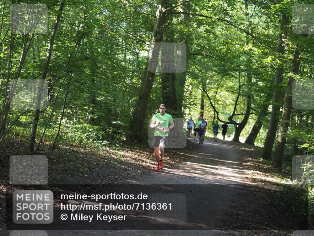 22.09.2024 - 32. Volkslauf durch das schöne Alstertal Miley Keyser http://msf.ph/oto/7136361 22.09.2024 10:40:27 Laufen  meine-sportfotos.de