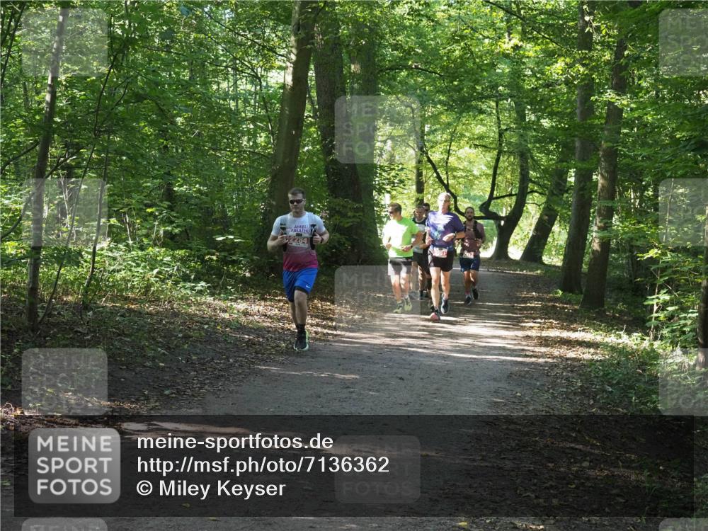 22.09.2024 - 32. Volkslauf durch das schöne Alstertal Miley Keyser http://msf.ph/oto/7136362 22.09.2024 10:40:34 Laufen 2264 meine-sportfotos.de