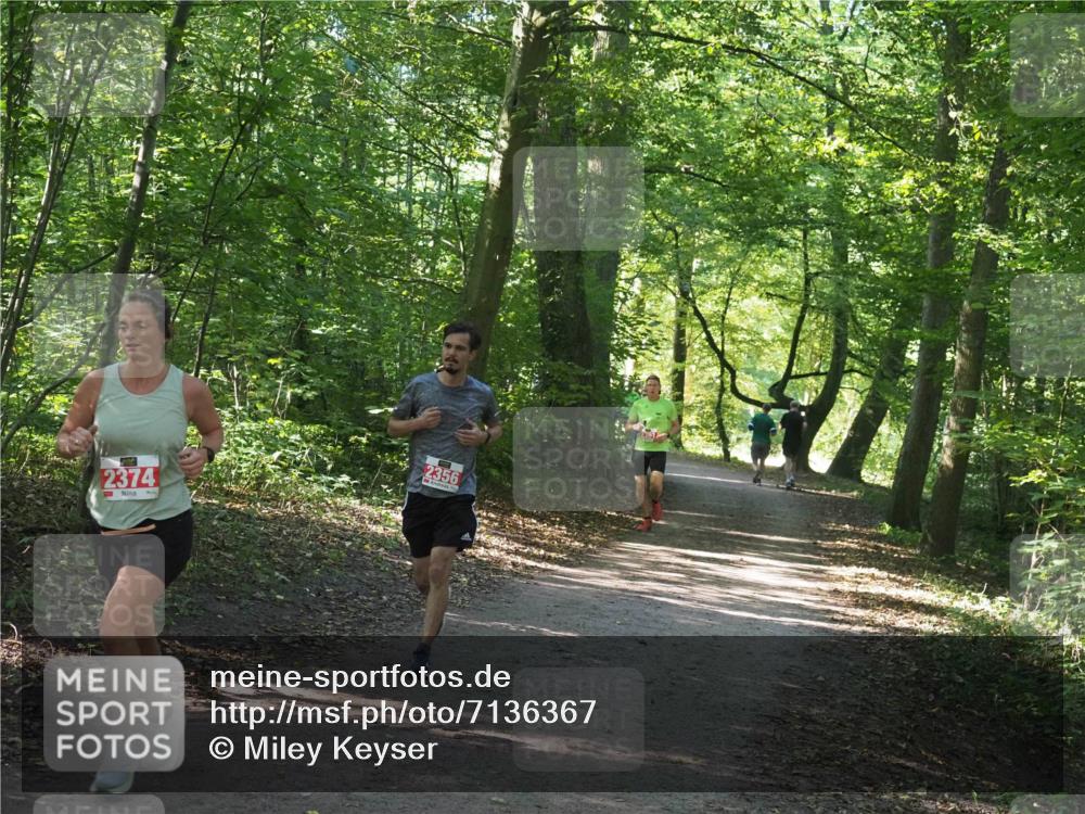 22.09.2024 - 32. Volkslauf durch das schöne Alstertal Miley Keyser http://msf.ph/oto/7136367 22.09.2024 10:40:25 Laufen 2374, 2356 meine-sportfotos.de