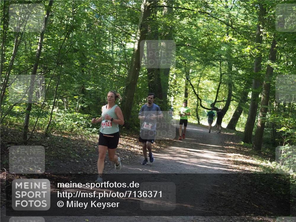 22.09.2024 - 32. Volkslauf durch das schöne Alstertal Miley Keyser http://msf.ph/oto/7136371 22.09.2024 10:40:24 Laufen 2374, 2356 meine-sportfotos.de