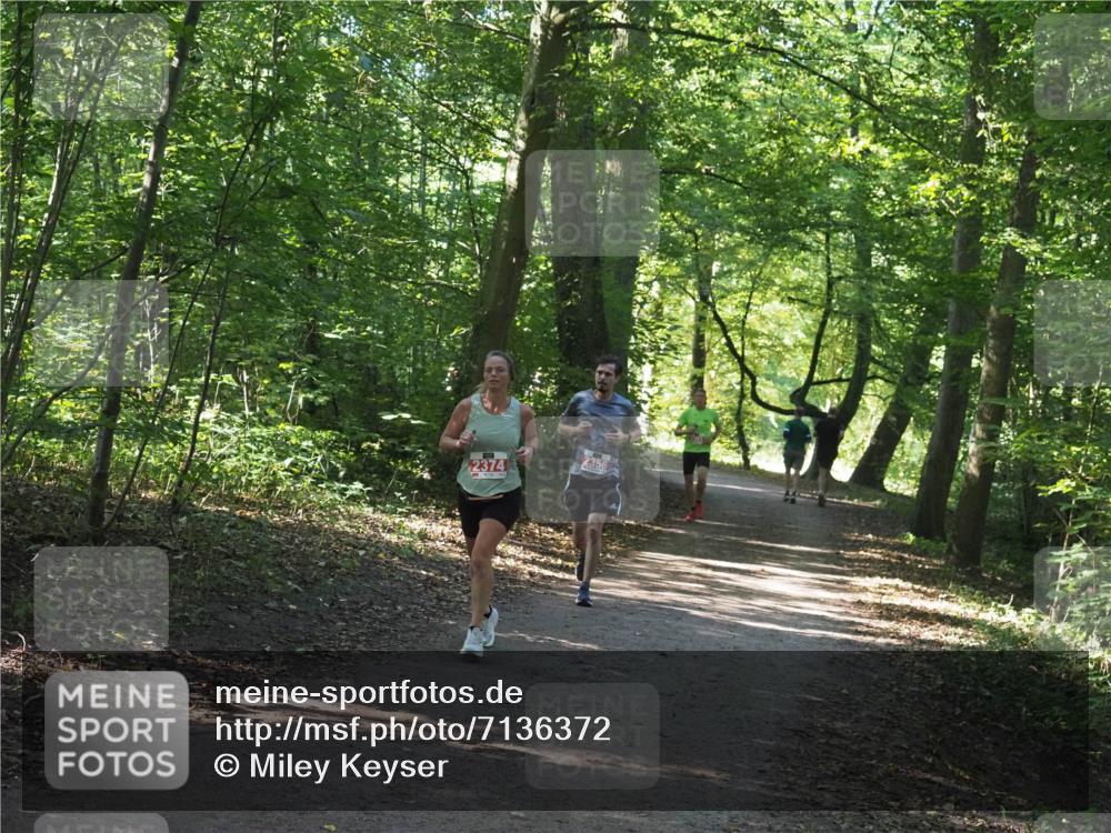 22.09.2024 - 32. Volkslauf durch das schöne Alstertal Miley Keyser http://msf.ph/oto/7136372 22.09.2024 10:40:23 Laufen 2374, 2356 meine-sportfotos.de