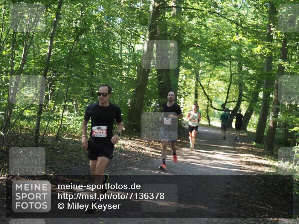 22.09.2024 - 32. Volkslauf durch das schöne Alstertal Miley Keyser http://msf.ph/oto/7136378 22.09.2024 10:40:21 Laufen 2559, 2495 meine-sportfotos.de