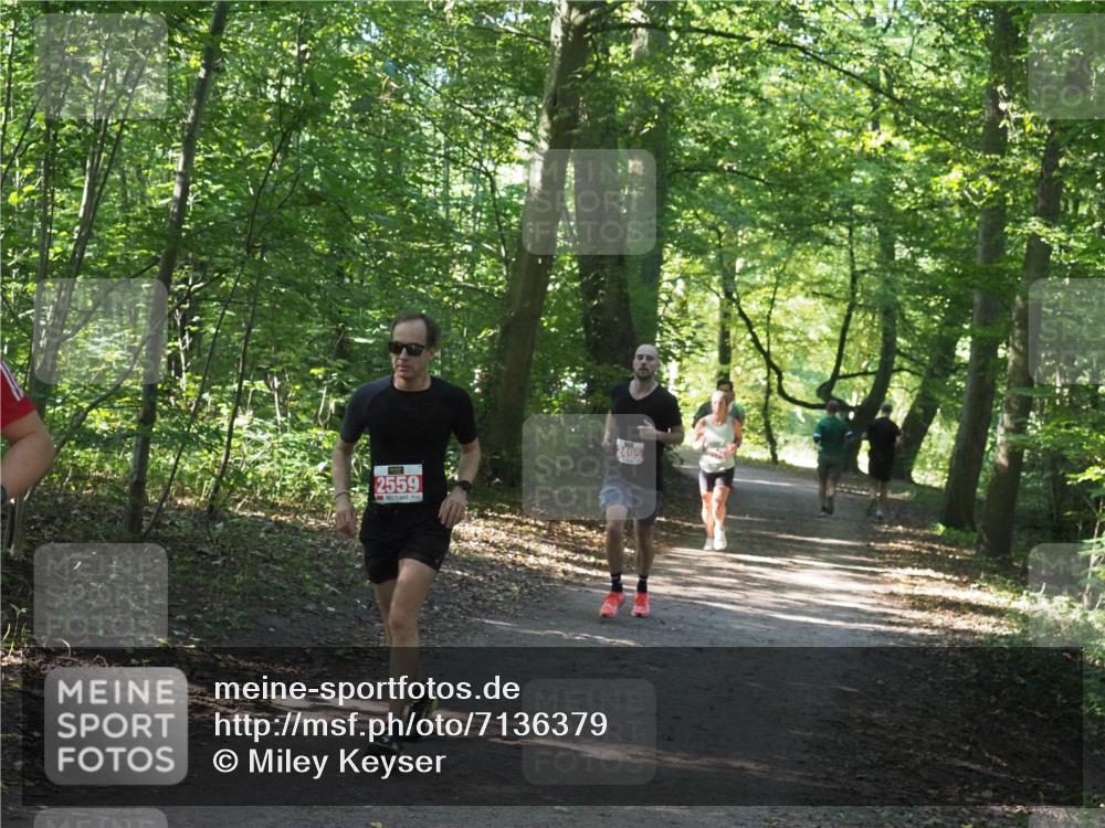 22.09.2024 - 32. Volkslauf durch das schöne Alstertal Miley Keyser http://msf.ph/oto/7136379 22.09.2024 10:40:21 Laufen 2559 meine-sportfotos.de
