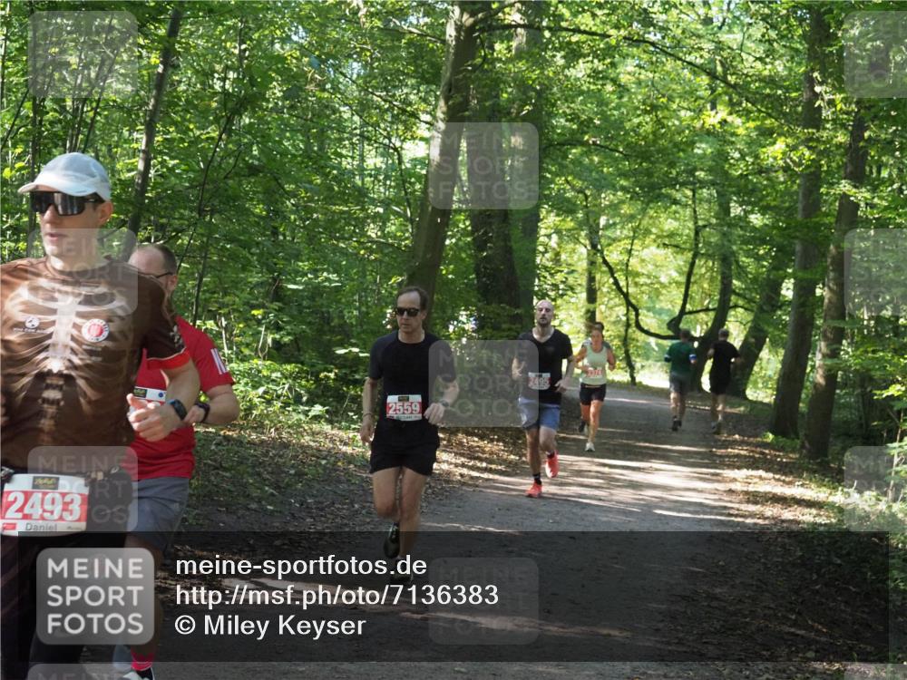 22.09.2024 - 32. Volkslauf durch das schöne Alstertal Miley Keyser http://msf.ph/oto/7136383 22.09.2024 10:40:20 Laufen 2493, 2559, 2495 meine-sportfotos.de