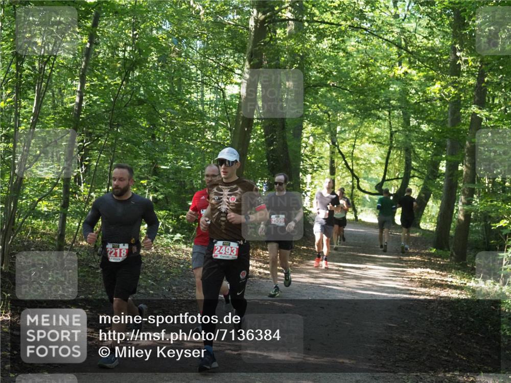 22.09.2024 - 32. Volkslauf durch das schöne Alstertal Miley Keyser http://msf.ph/oto/7136384 22.09.2024 10:40:19 Laufen 2218, 2493, 2559 meine-sportfotos.de