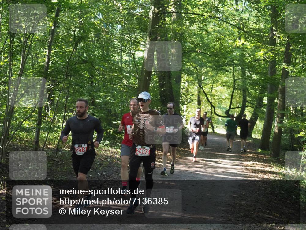 22.09.2024 - 32. Volkslauf durch das schöne Alstertal Miley Keyser http://msf.ph/oto/7136385 22.09.2024 10:40:19 Laufen 2218, 2493 meine-sportfotos.de
