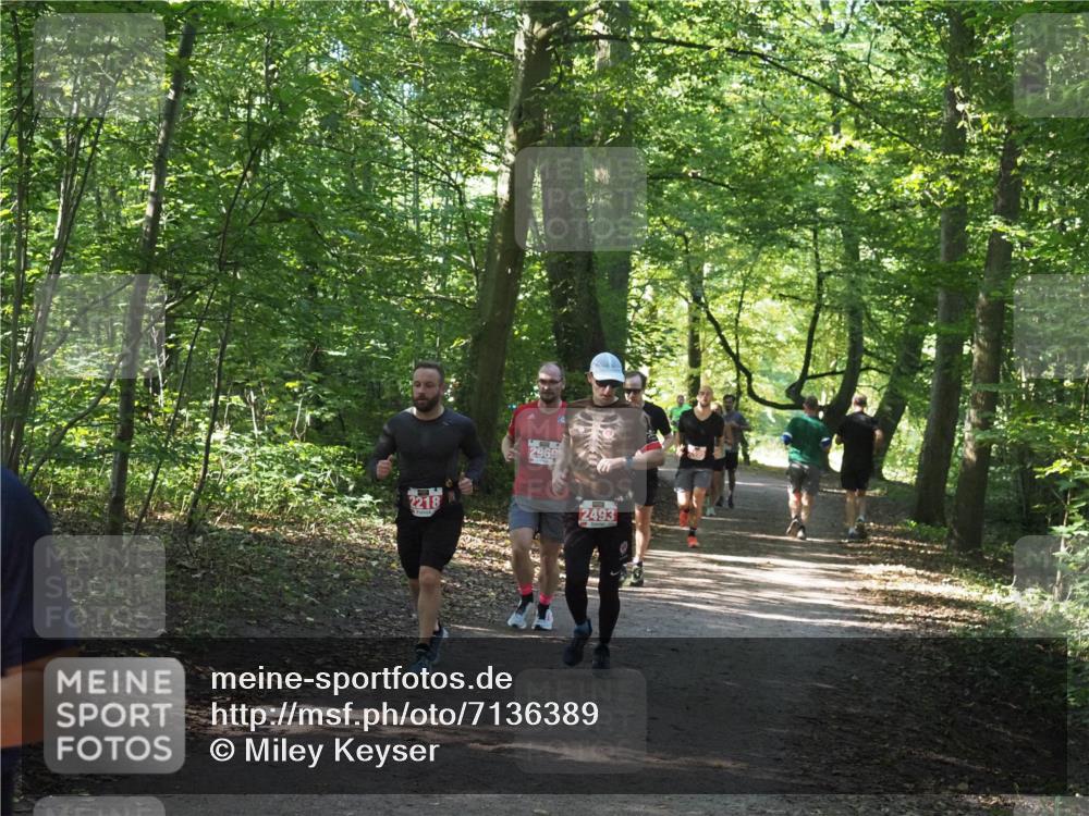 22.09.2024 - 32. Volkslauf durch das schöne Alstertal Miley Keyser http://msf.ph/oto/7136389 22.09.2024 10:40:18 Laufen 2218, 2969, 2493 meine-sportfotos.de