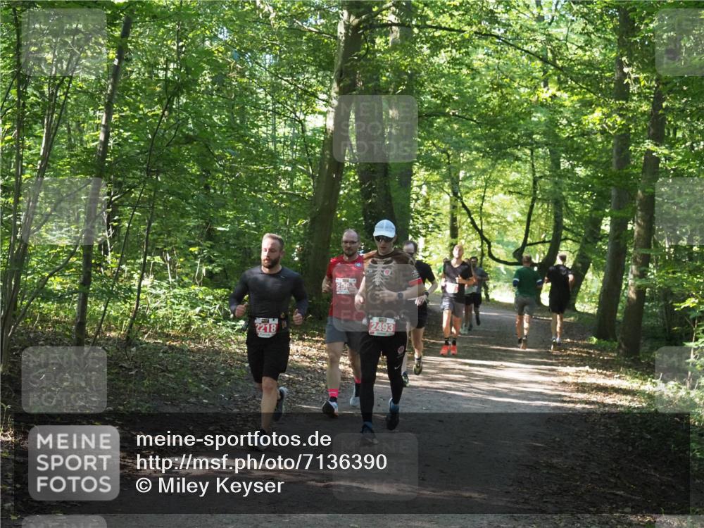 22.09.2024 - 32. Volkslauf durch das schöne Alstertal Miley Keyser http://msf.ph/oto/7136390 22.09.2024 10:40:18 Laufen 2493, 2218 meine-sportfotos.de