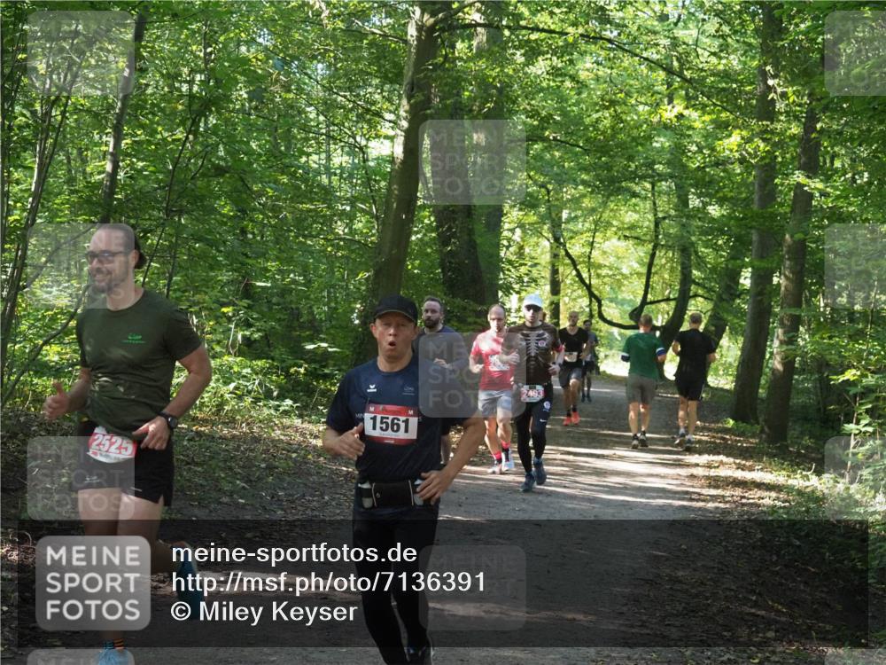 22.09.2024 - 32. Volkslauf durch das schöne Alstertal Miley Keyser http://msf.ph/oto/7136391 22.09.2024 10:40:17 Laufen 2525, 1561, 2493 meine-sportfotos.de