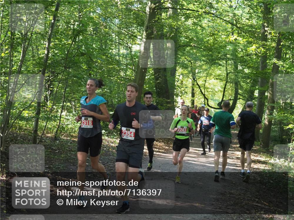 22.09.2024 - 32. Volkslauf durch das schöne Alstertal Miley Keyser http://msf.ph/oto/7136397 22.09.2024 10:40:14 Laufen 2318, 2354, 2243, 1561 meine-sportfotos.de