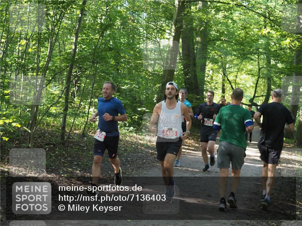 22.09.2024 - 32. Volkslauf durch das schöne Alstertal Miley Keyser http://msf.ph/oto/7136403 22.09.2024 10:40:12 Laufen 2946, 2465 meine-sportfotos.de
