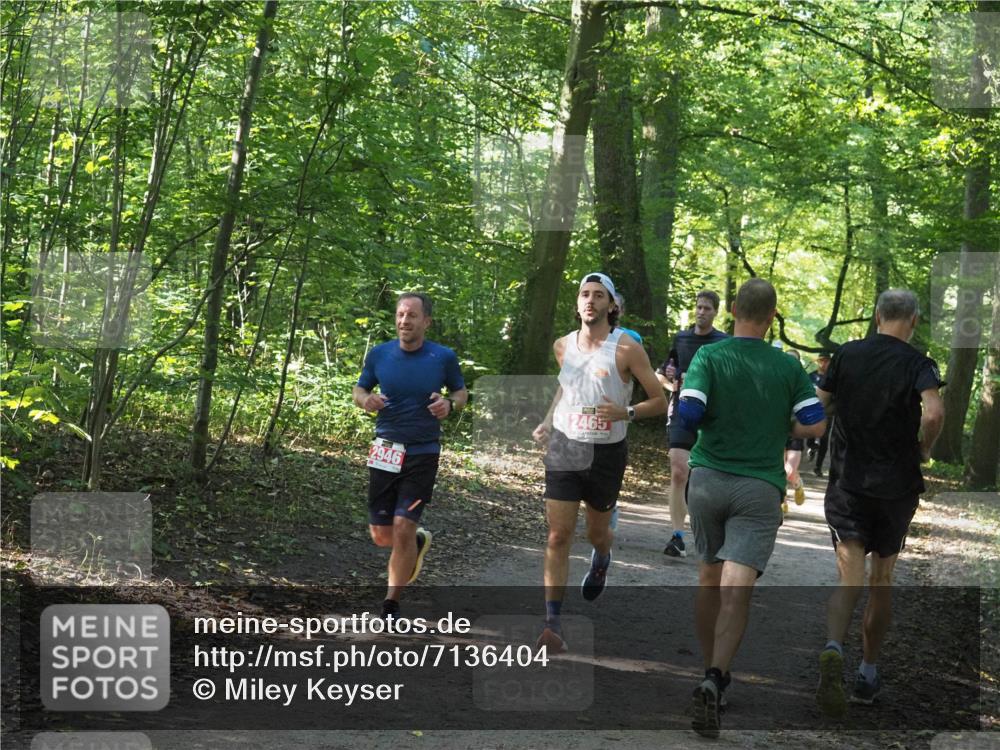 22.09.2024 - 32. Volkslauf durch das schöne Alstertal Miley Keyser http://msf.ph/oto/7136404 22.09.2024 10:40:12 Laufen 2946, 2465 meine-sportfotos.de