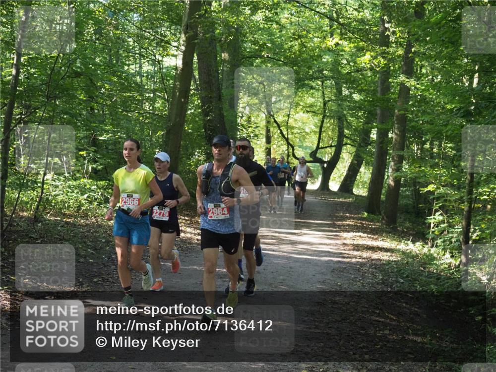 22.09.2024 - 32. Volkslauf durch das schöne Alstertal Miley Keyser http://msf.ph/oto/7136412 22.09.2024 10:40:06 Laufen 2966, 2964, 2279 meine-sportfotos.de