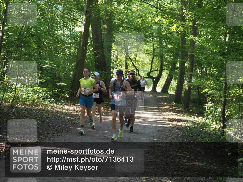 22.09.2024 - 32. Volkslauf durch das schöne Alstertal Miley Keyser http://msf.ph/oto/7136413 22.09.2024 10:40:06 Laufen 2279 meine-sportfotos.de