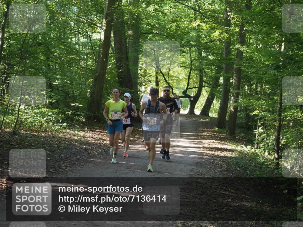 22.09.2024 - 32. Volkslauf durch das schöne Alstertal Miley Keyser http://msf.ph/oto/7136414 22.09.2024 10:40:05 Laufen 2966, 2279, 2964, 58 meine-sportfotos.de