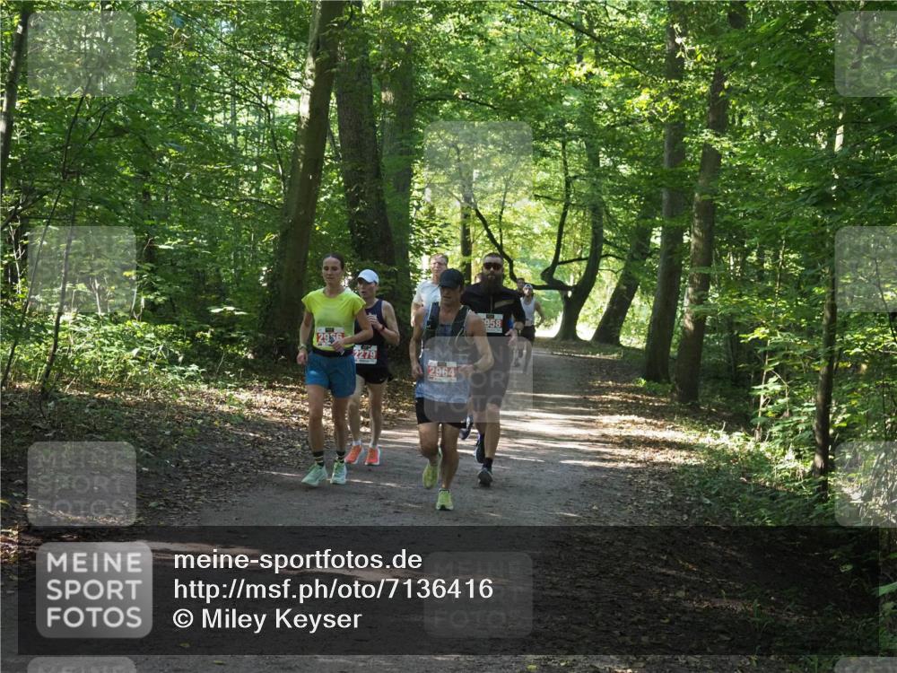 22.09.2024 - 32. Volkslauf durch das schöne Alstertal Miley Keyser http://msf.ph/oto/7136416 22.09.2024 10:40:05 Laufen 2956, 2279, 2964, 958 meine-sportfotos.de