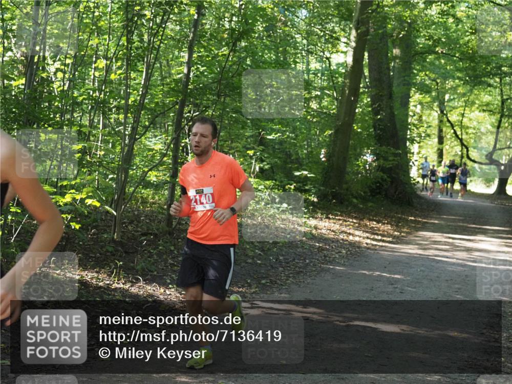 22.09.2024 - 32. Volkslauf durch das schöne Alstertal Miley Keyser http://msf.ph/oto/7136419 22.09.2024 10:39:56 Laufen 2140 meine-sportfotos.de