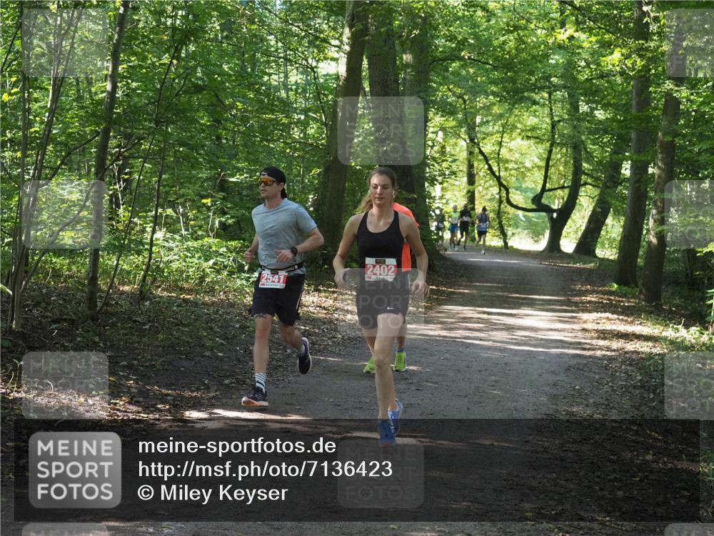 22.09.2024 - 32. Volkslauf durch das schöne Alstertal Miley Keyser http://msf.ph/oto/7136423 22.09.2024 10:39:54 Laufen 2541, 2402 meine-sportfotos.de