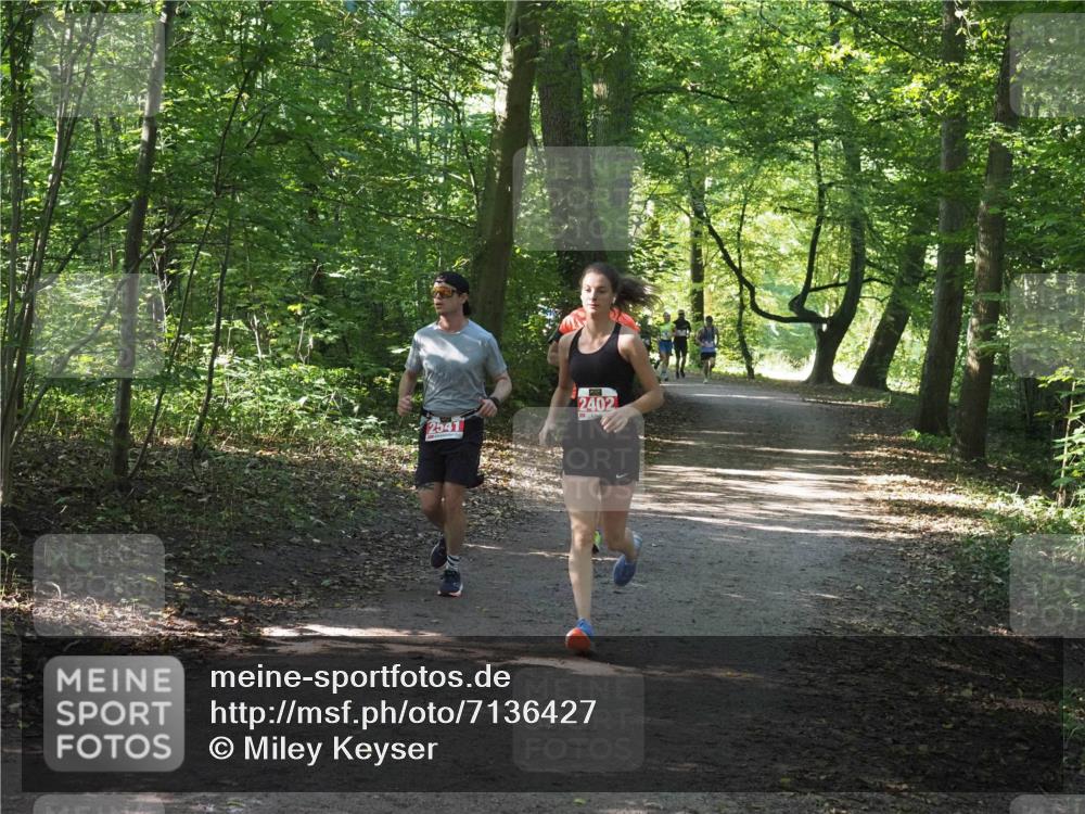 22.09.2024 - 32. Volkslauf durch das schöne Alstertal Miley Keyser http://msf.ph/oto/7136427 22.09.2024 10:39:54 Laufen 2541, 2402 meine-sportfotos.de