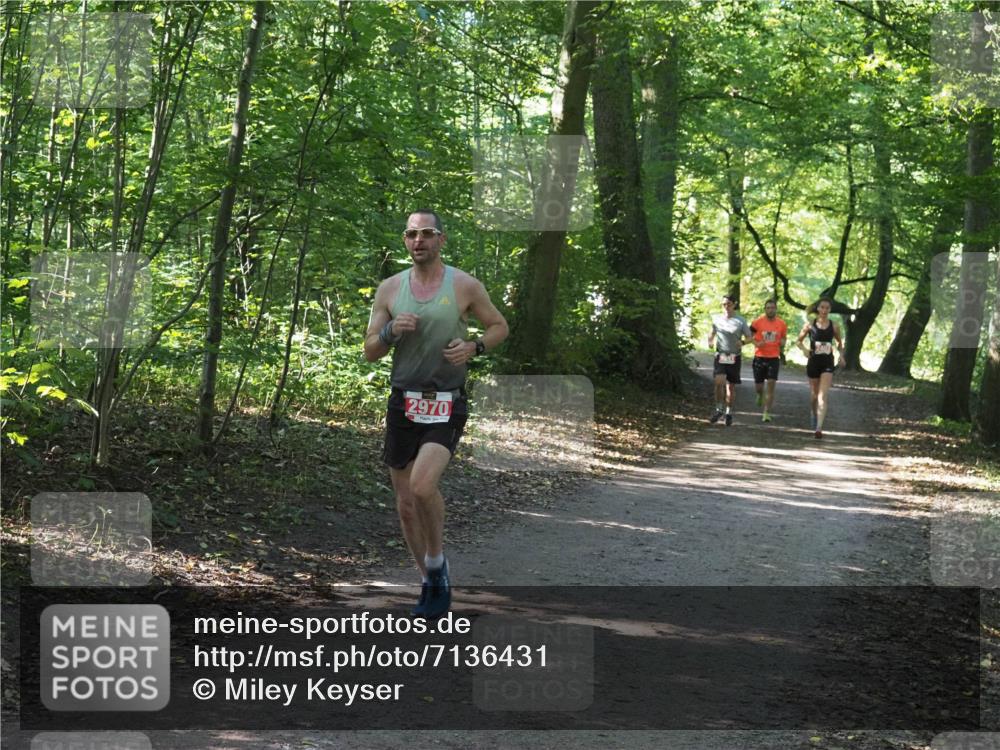 22.09.2024 - 32. Volkslauf durch das schöne Alstertal Miley Keyser http://msf.ph/oto/7136431 22.09.2024 10:39:50 Laufen 2970 meine-sportfotos.de
