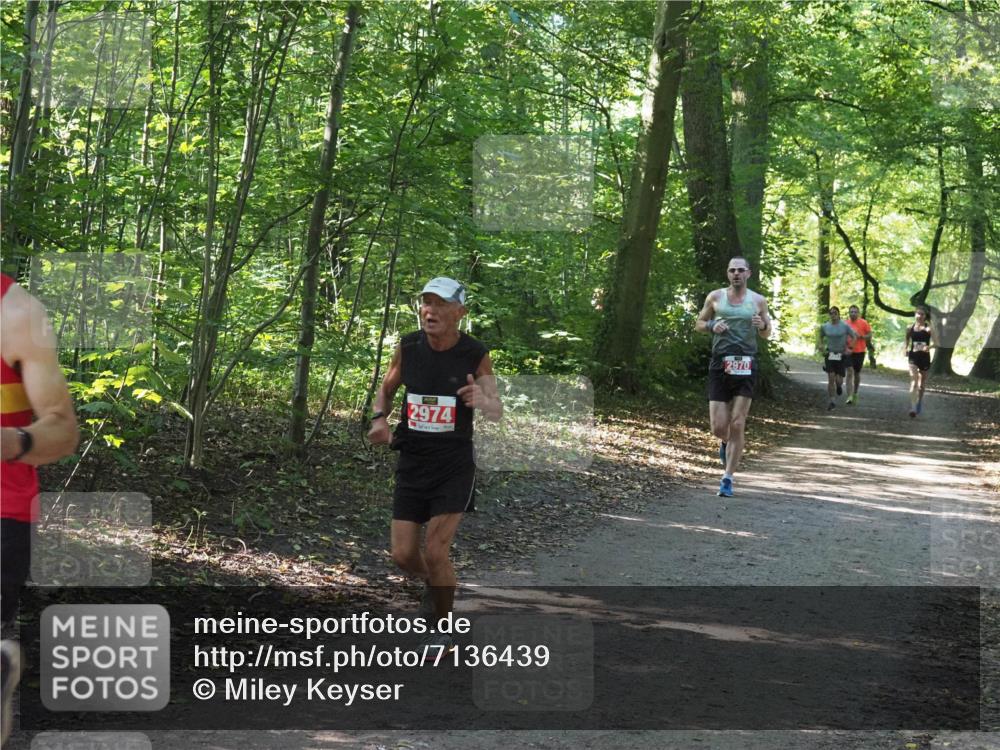 22.09.2024 - 32. Volkslauf durch das schöne Alstertal Miley Keyser http://msf.ph/oto/7136439 22.09.2024 10:39:48 Laufen 2974, 2970 meine-sportfotos.de