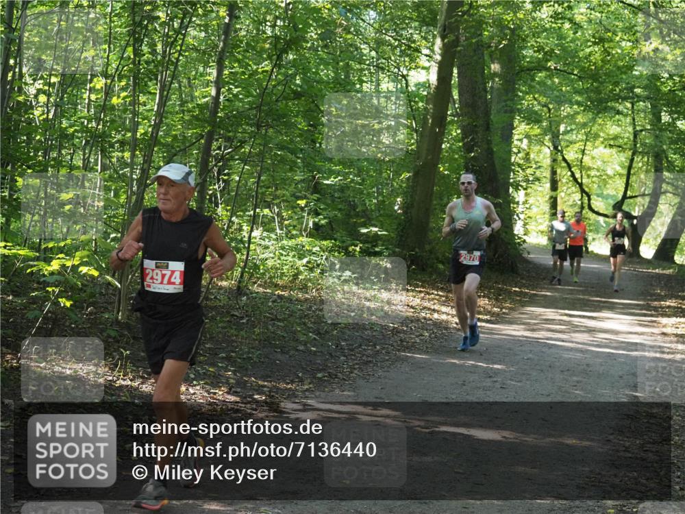 22.09.2024 - 32. Volkslauf durch das schöne Alstertal Miley Keyser http://msf.ph/oto/7136440 22.09.2024 10:39:49 Laufen 2974, 2970 meine-sportfotos.de