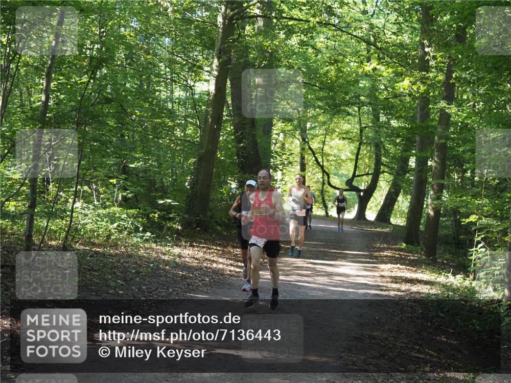 22.09.2024 - 32. Volkslauf durch das schöne Alstertal Miley Keyser http://msf.ph/oto/7136443 22.09.2024 10:39:46 Laufen 2566 meine-sportfotos.de