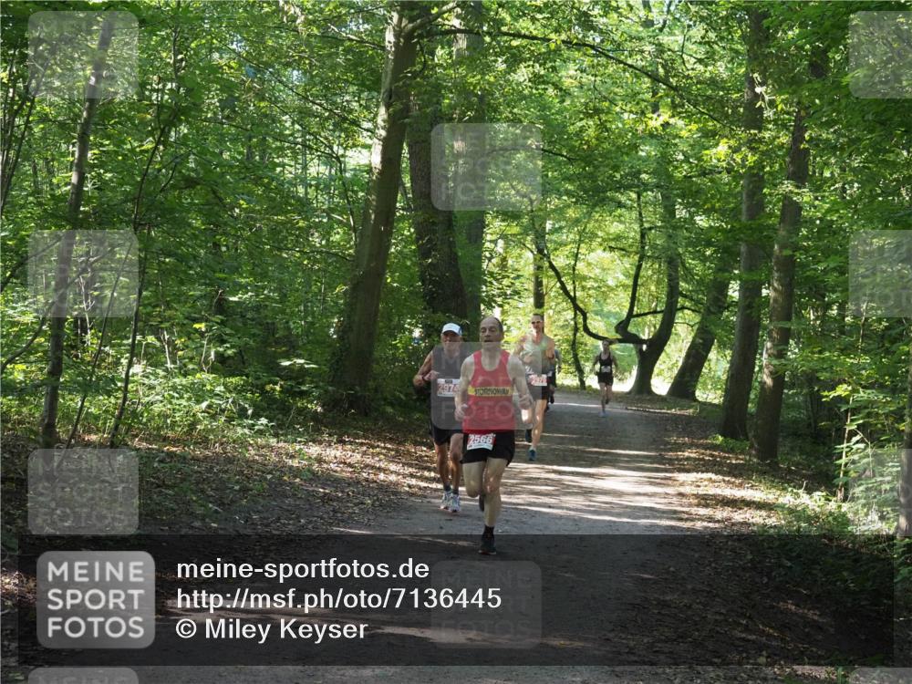 22.09.2024 - 32. Volkslauf durch das schöne Alstertal Miley Keyser http://msf.ph/oto/7136445 22.09.2024 10:39:46 Laufen 2974, 2566 meine-sportfotos.de