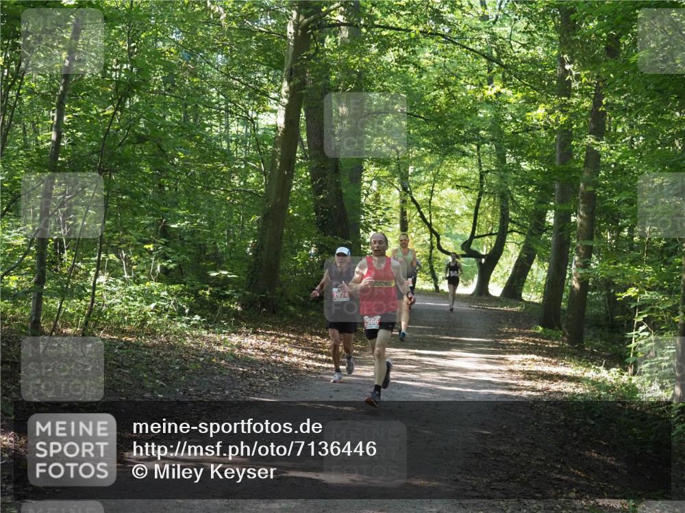 22.09.2024 - 32. Volkslauf durch das schöne Alstertal Miley Keyser http://msf.ph/oto/7136446 22.09.2024 10:39:46 Laufen 2974, 2566 meine-sportfotos.de