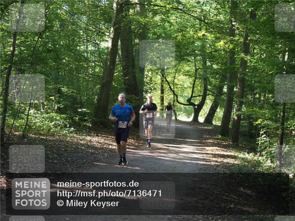 22.09.2024 - 32. Volkslauf durch das schöne Alstertal Miley Keyser http://msf.ph/oto/7136471 22.09.2024 10:39:31 Laufen  meine-sportfotos.de