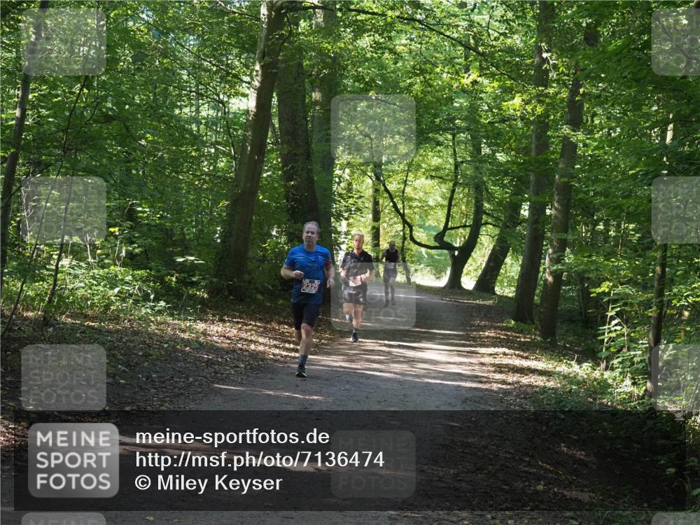 22.09.2024 - 32. Volkslauf durch das schöne Alstertal Miley Keyser http://msf.ph/oto/7136474 22.09.2024 10:39:30 Laufen  meine-sportfotos.de