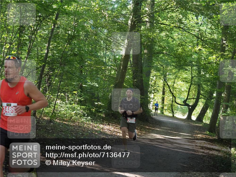 22.09.2024 - 32. Volkslauf durch das schöne Alstertal Miley Keyser http://msf.ph/oto/7136477 22.09.2024 10:39:20 Laufen 2489, 2500 meine-sportfotos.de