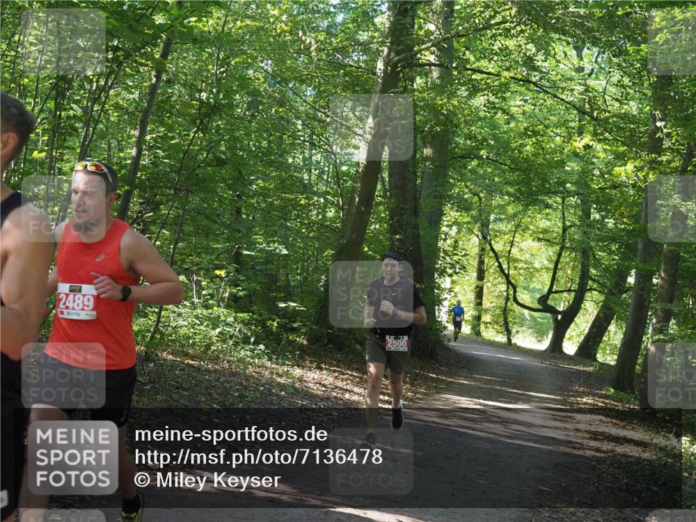 22.09.2024 - 32. Volkslauf durch das schöne Alstertal Miley Keyser http://msf.ph/oto/7136478 22.09.2024 10:39:20 Laufen 2489, 2500, 151 meine-sportfotos.de