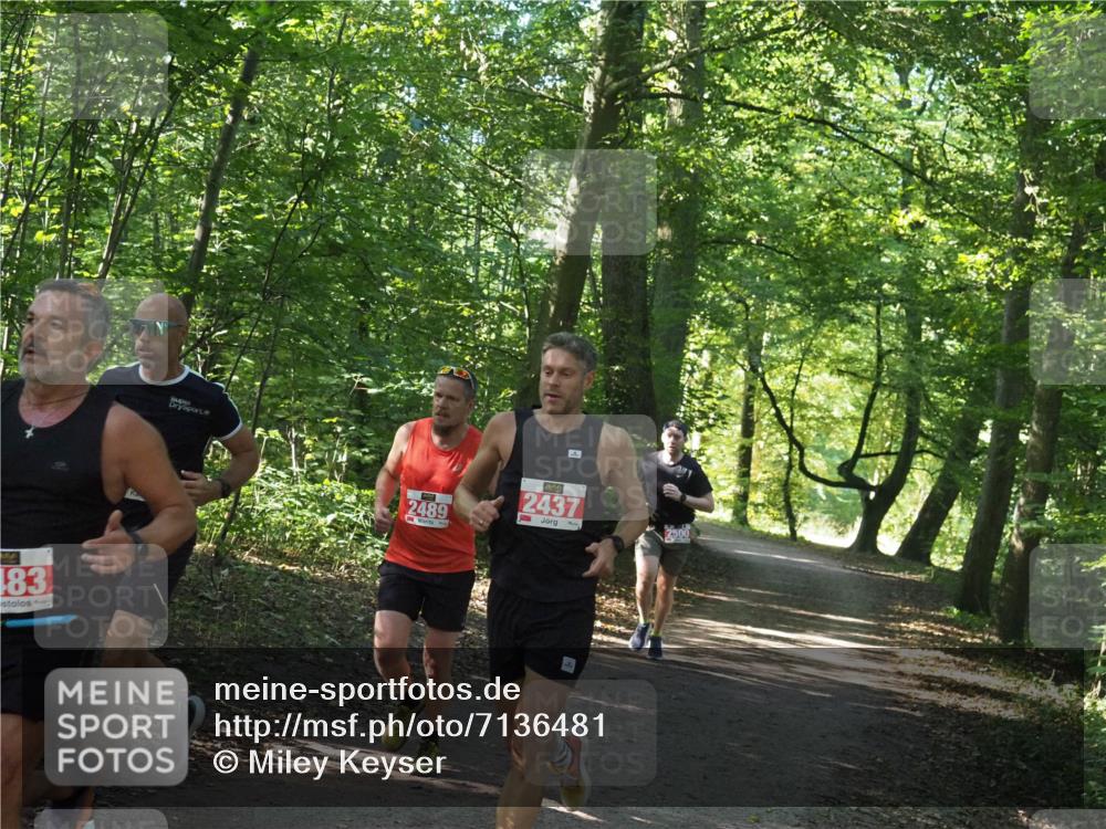 22.09.2024 - 32. Volkslauf durch das schöne Alstertal Miley Keyser http://msf.ph/oto/7136481 22.09.2024 10:39:19 Laufen 83, 2489, 2437, 2500 meine-sportfotos.de