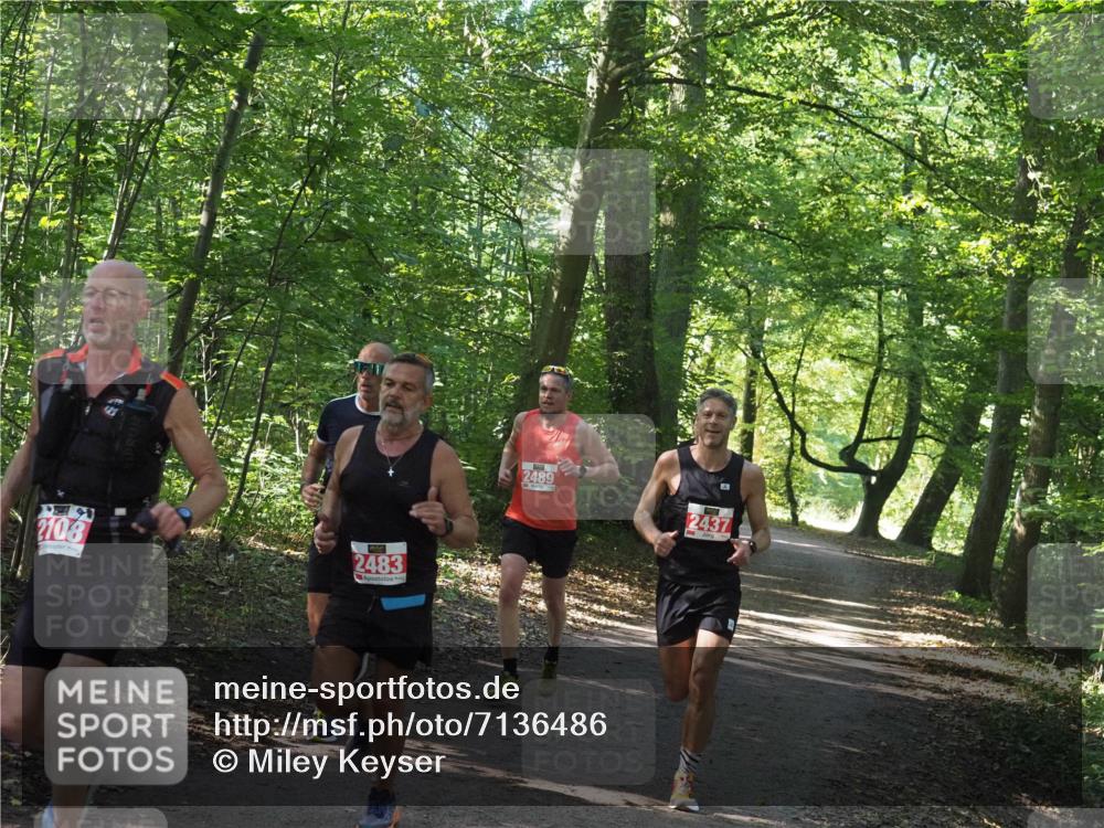 22.09.2024 - 32. Volkslauf durch das schöne Alstertal Miley Keyser http://msf.ph/oto/7136486 22.09.2024 10:39:19 Laufen 2108, 2483, 2489, 2437 meine-sportfotos.de