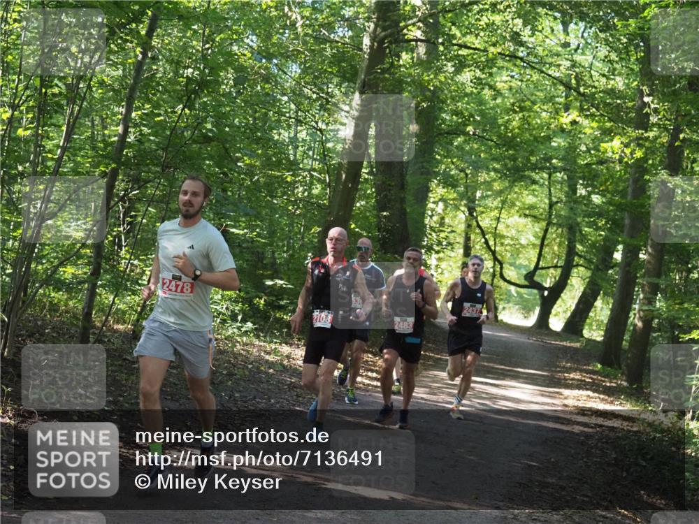 22.09.2024 - 32. Volkslauf durch das schöne Alstertal Miley Keyser http://msf.ph/oto/7136491 22.09.2024 10:39:17 Laufen 2437, 2478, 2108, 2483 meine-sportfotos.de