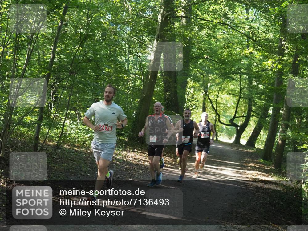 22.09.2024 - 32. Volkslauf durch das schöne Alstertal Miley Keyser http://msf.ph/oto/7136493 22.09.2024 10:39:17 Laufen 2478, 2437, 2108, 2483 meine-sportfotos.de