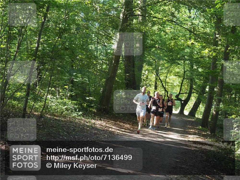 22.09.2024 - 32. Volkslauf durch das schöne Alstertal Miley Keyser http://msf.ph/oto/7136499 22.09.2024 10:39:15 Laufen 2483, 2437 meine-sportfotos.de