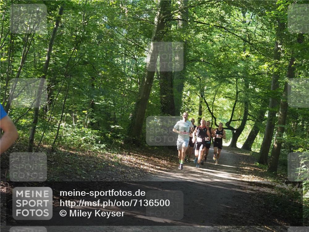 22.09.2024 - 32. Volkslauf durch das schöne Alstertal Miley Keyser http://msf.ph/oto/7136500 22.09.2024 10:39:14 Laufen  meine-sportfotos.de