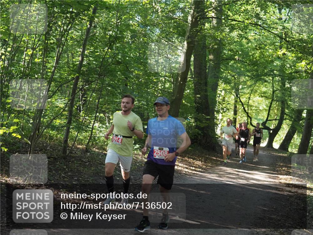 22.09.2024 - 32. Volkslauf durch das schöne Alstertal Miley Keyser http://msf.ph/oto/7136502 22.09.2024 10:39:13 Laufen 2514, 2508 meine-sportfotos.de