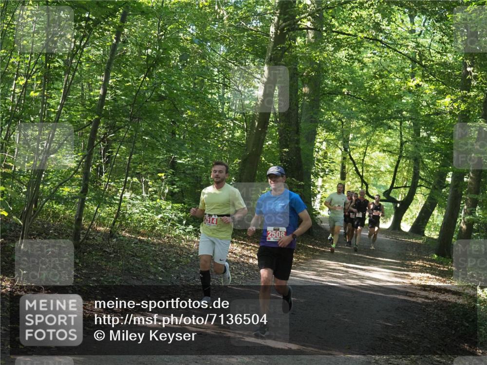 22.09.2024 - 32. Volkslauf durch das schöne Alstertal Miley Keyser http://msf.ph/oto/7136504 22.09.2024 10:39:13 Laufen 2514, 2508, 2471 meine-sportfotos.de