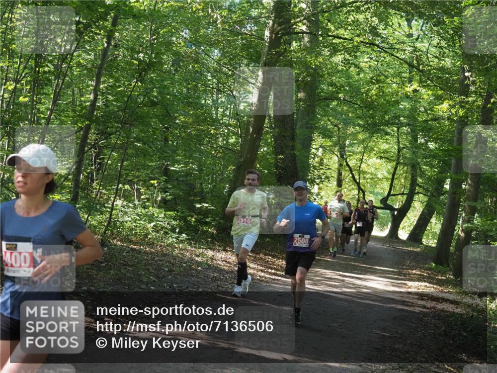 22.09.2024 - 32. Volkslauf durch das schöne Alstertal Miley Keyser http://msf.ph/oto/7136506 22.09.2024 10:39:12 Laufen 400, 2514, 2508 meine-sportfotos.de
