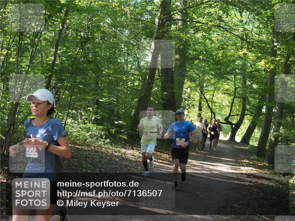 22.09.2024 - 32. Volkslauf durch das schöne Alstertal Miley Keyser http://msf.ph/oto/7136507 22.09.2024 10:39:12 Laufen 2514, 2508, 2471 meine-sportfotos.de